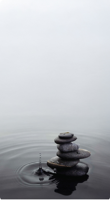 Seijaku — the stillness within